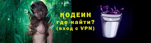 молекула духа Балахна