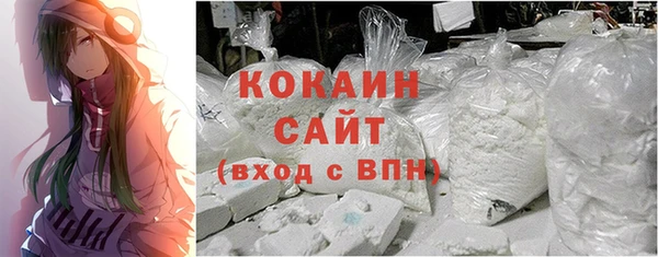 молекула духа Балахна